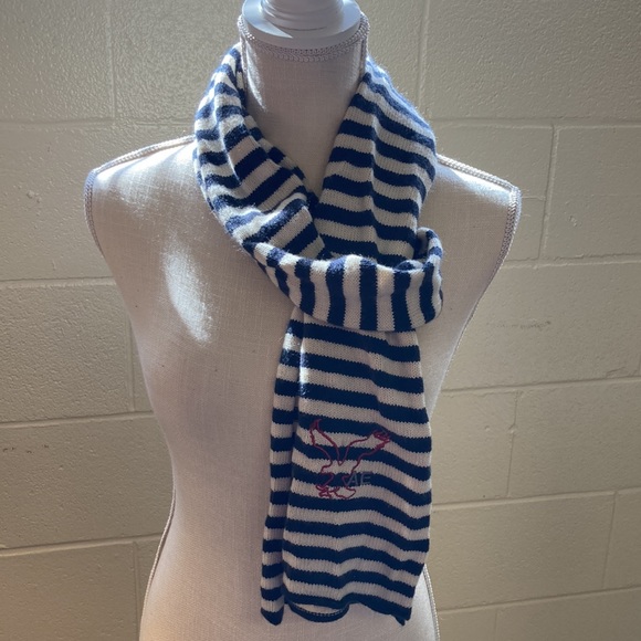 🎊HP🎊American Eagle Outfitters Knit Scarf - Picture 2 of 6